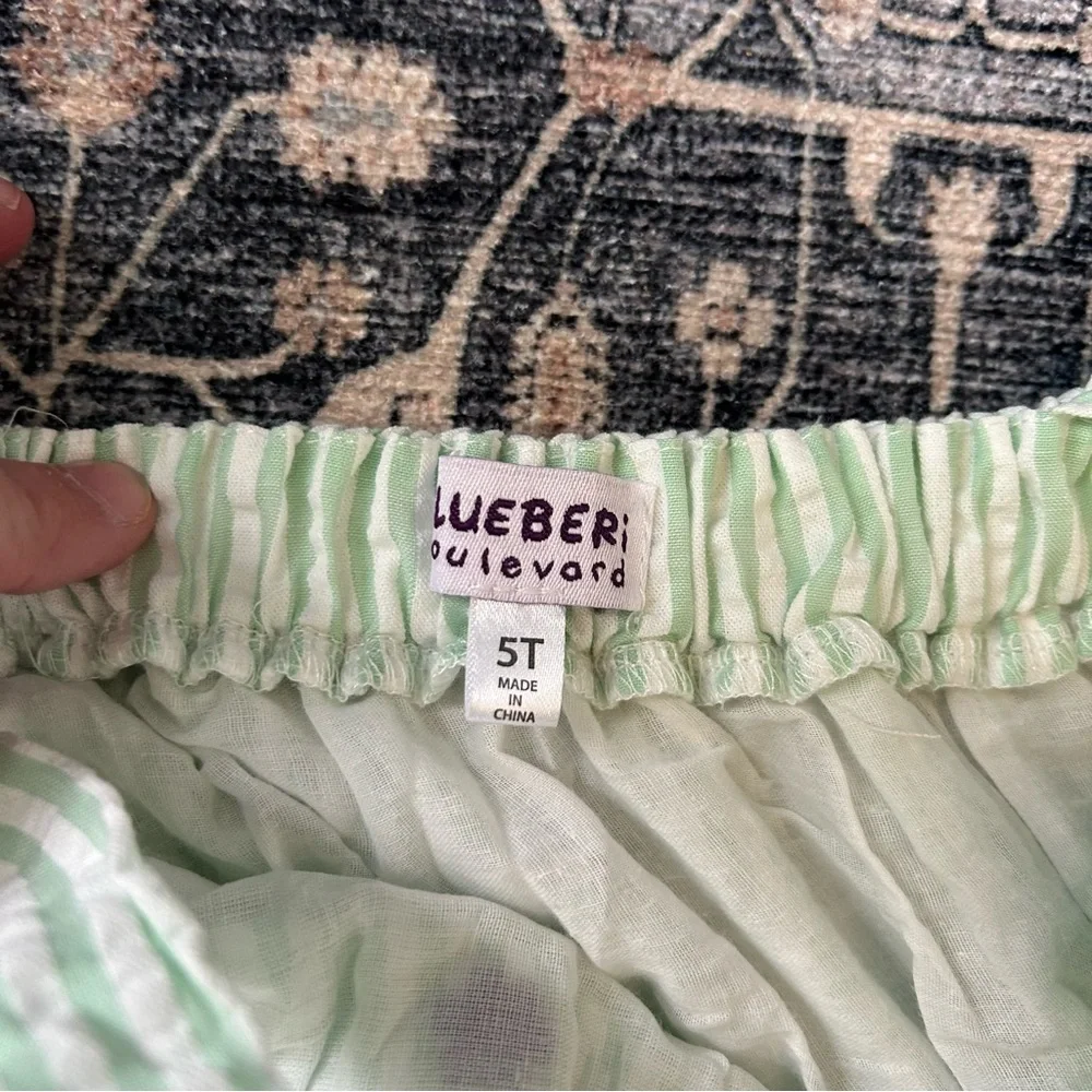 Blueberi Boulevard nwot lined